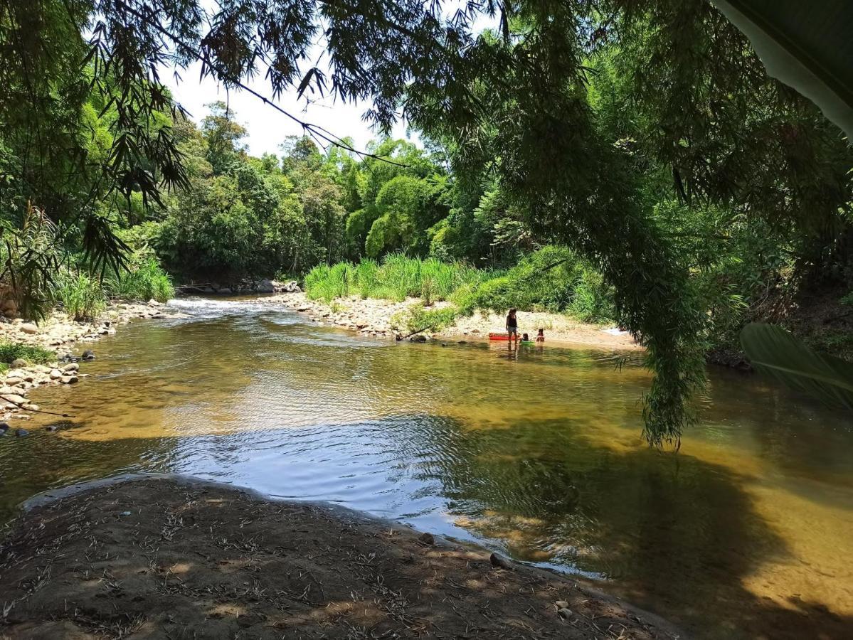 Ecoisa De Chacara - Casa De Vidro, Casa De Campo Morretes Zewnętrze zdjęcie