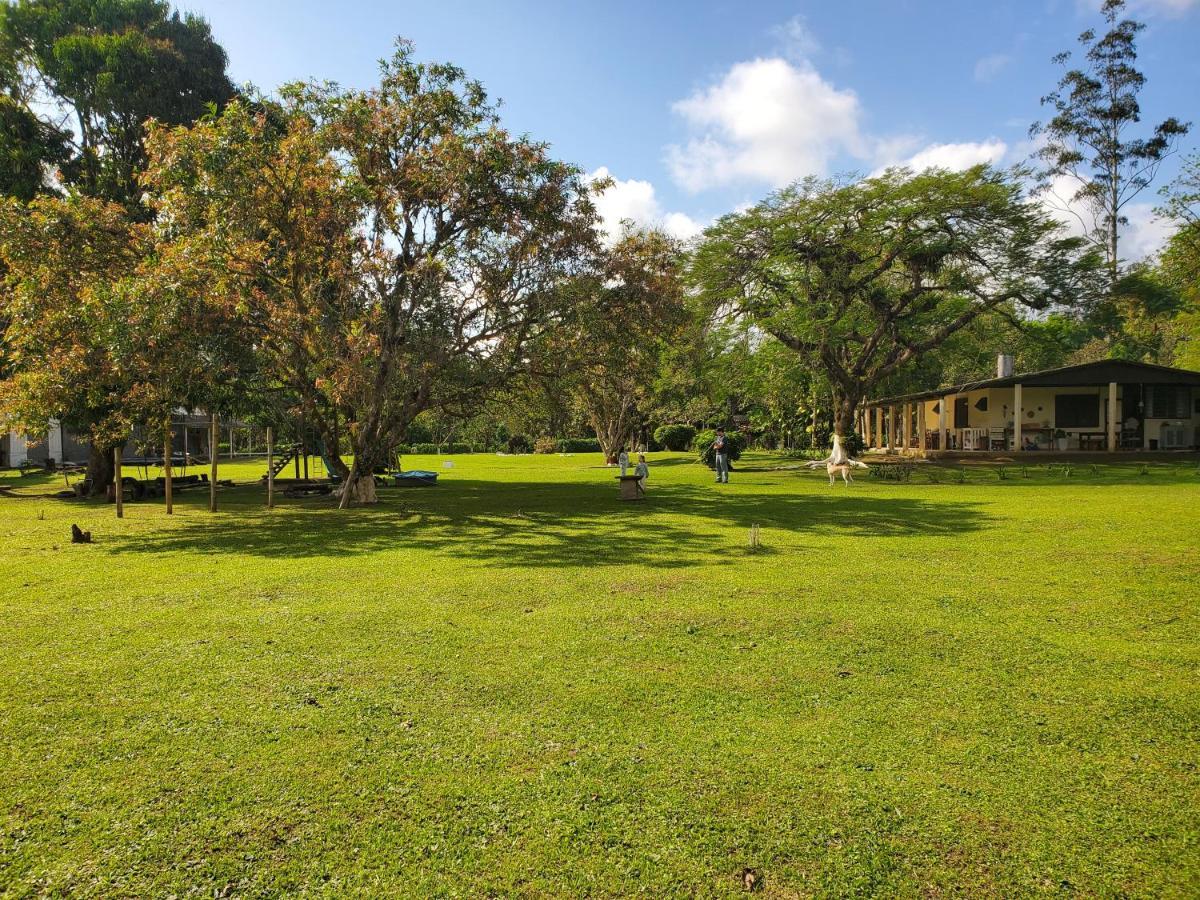 Ecoisa De Chacara - Casa De Vidro, Casa De Campo Morretes Zewnętrze zdjęcie