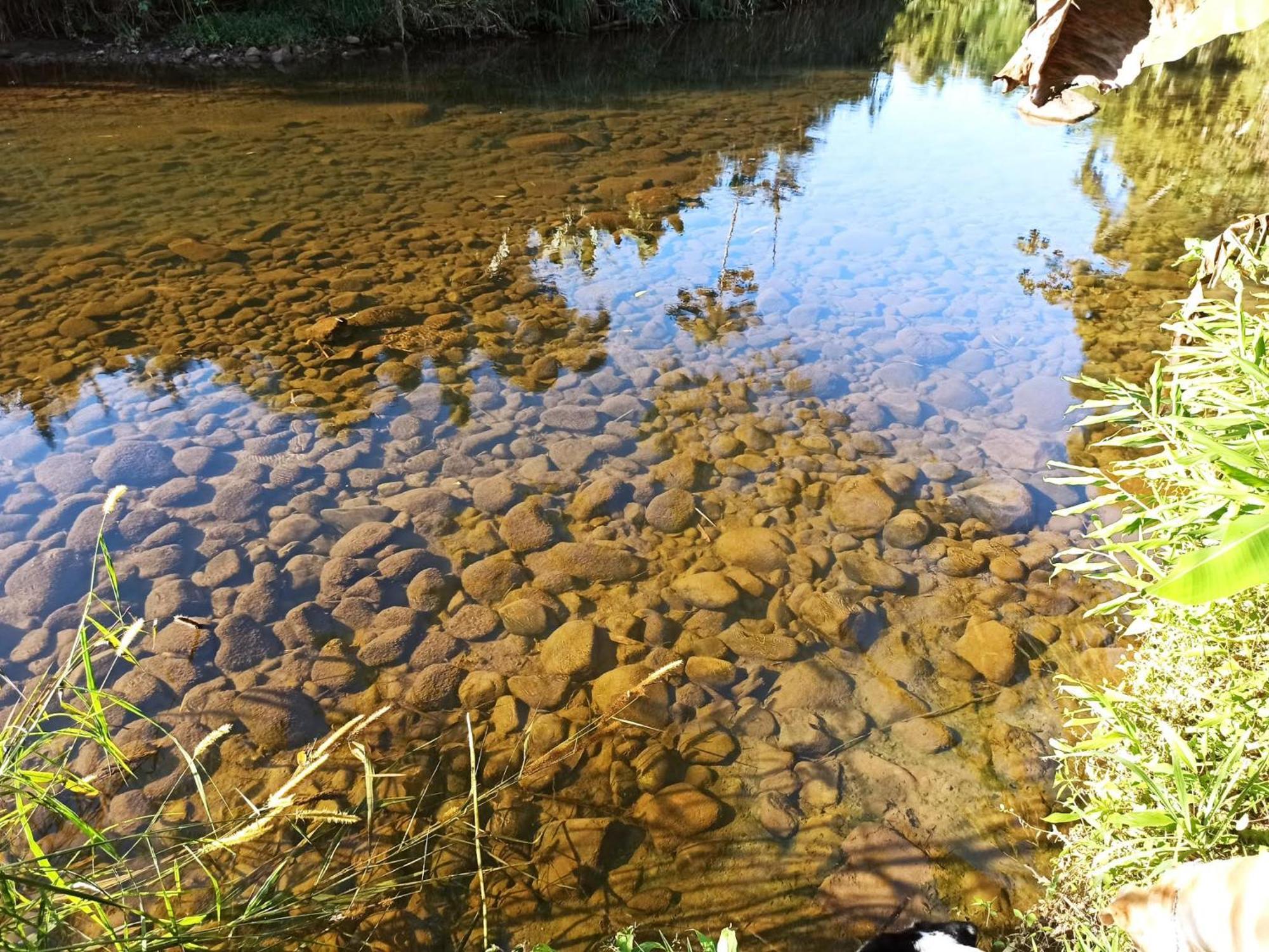 Ecoisa De Chacara - Casa De Vidro, Casa De Campo Morretes Zewnętrze zdjęcie