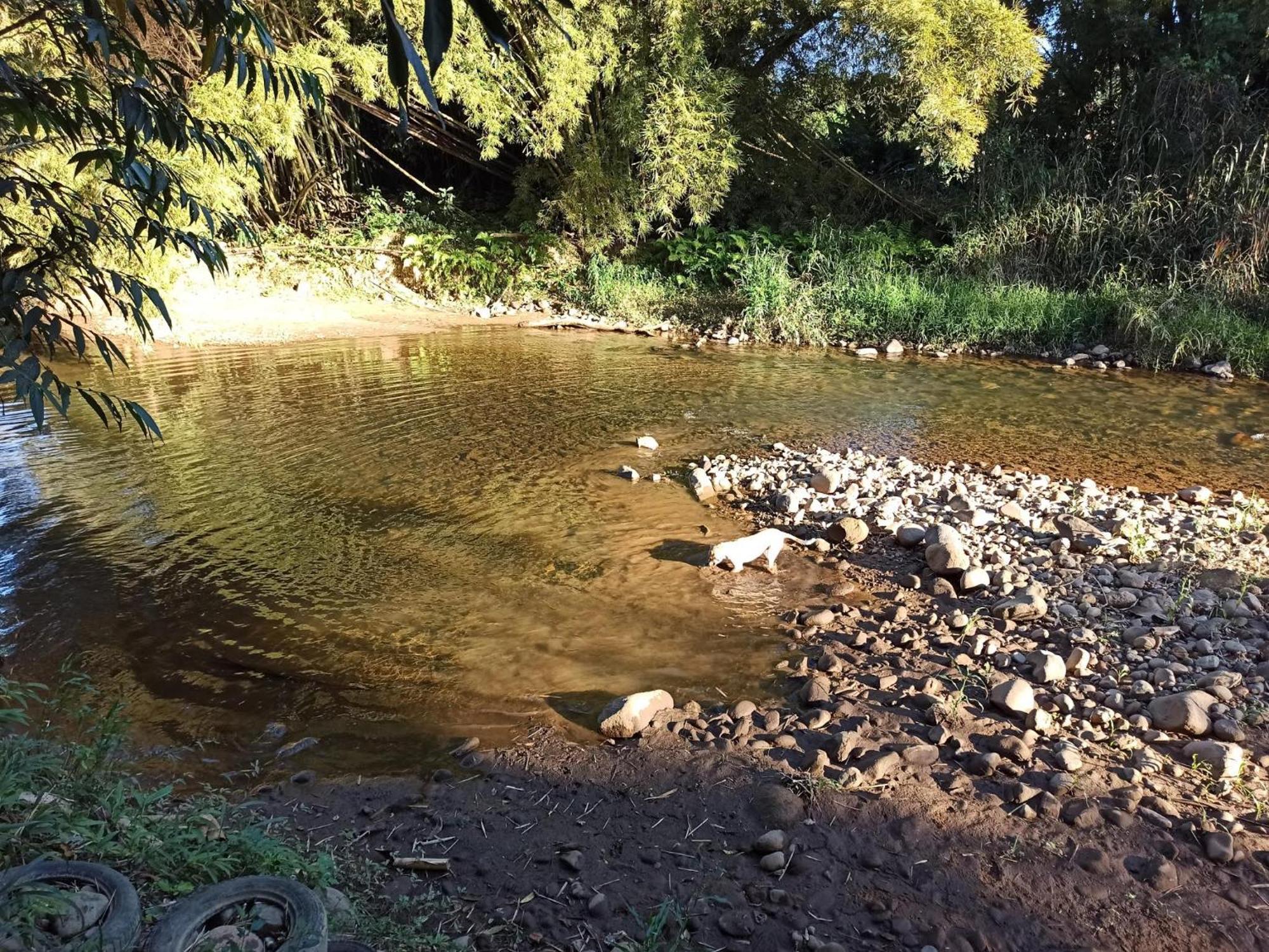 Ecoisa De Chacara - Casa De Vidro, Casa De Campo Morretes Zewnętrze zdjęcie